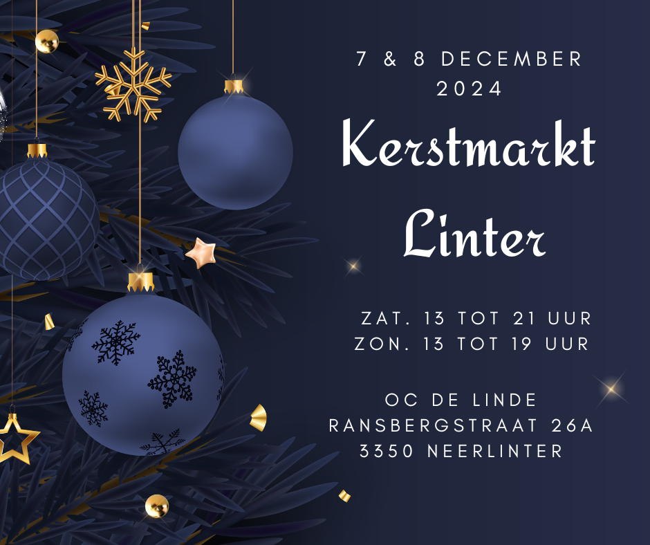 Kerstmarkt Linter 2024